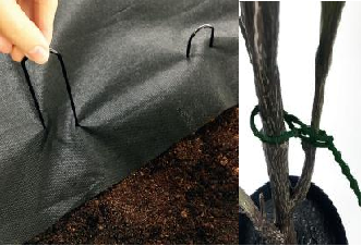 Small garden accessories 02